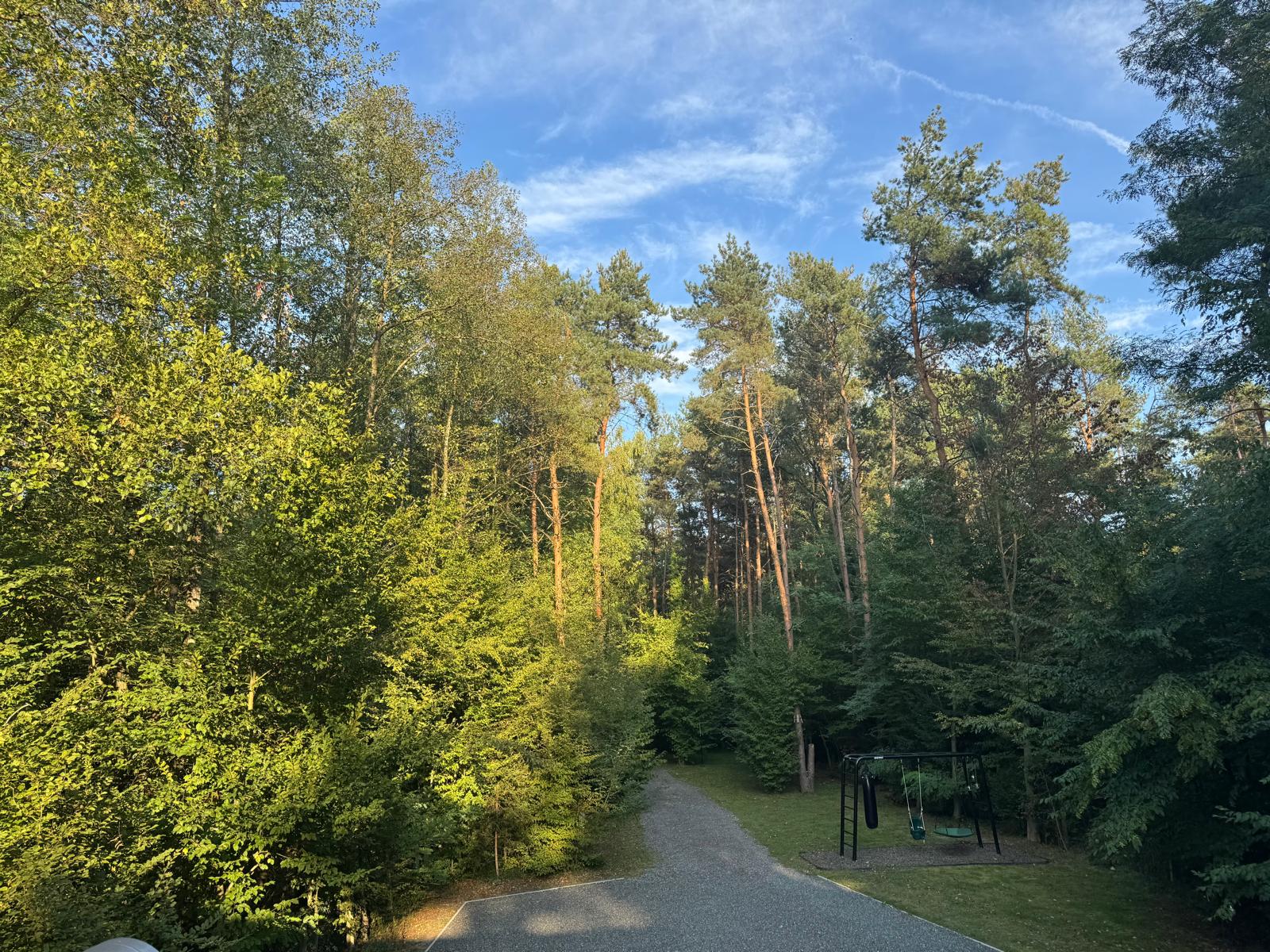 Forest path leading through the peaceful Croatian woods with playground visible